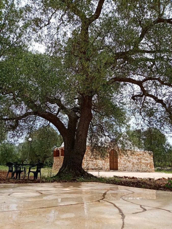 Trulli Monte Madre Villa San Vito dei Normanni Bagian luar foto