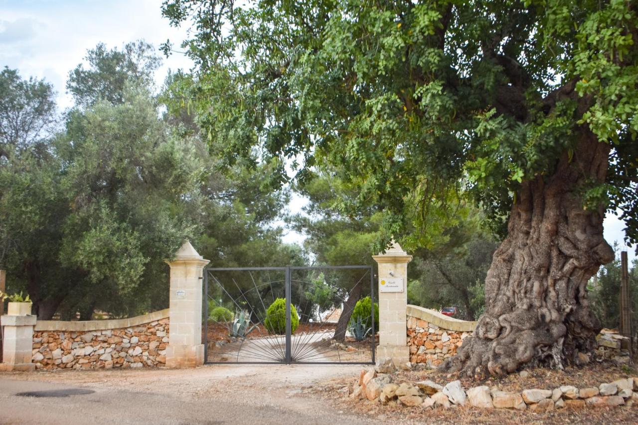 Trulli Monte Madre Villa San Vito dei Normanni Bagian luar foto